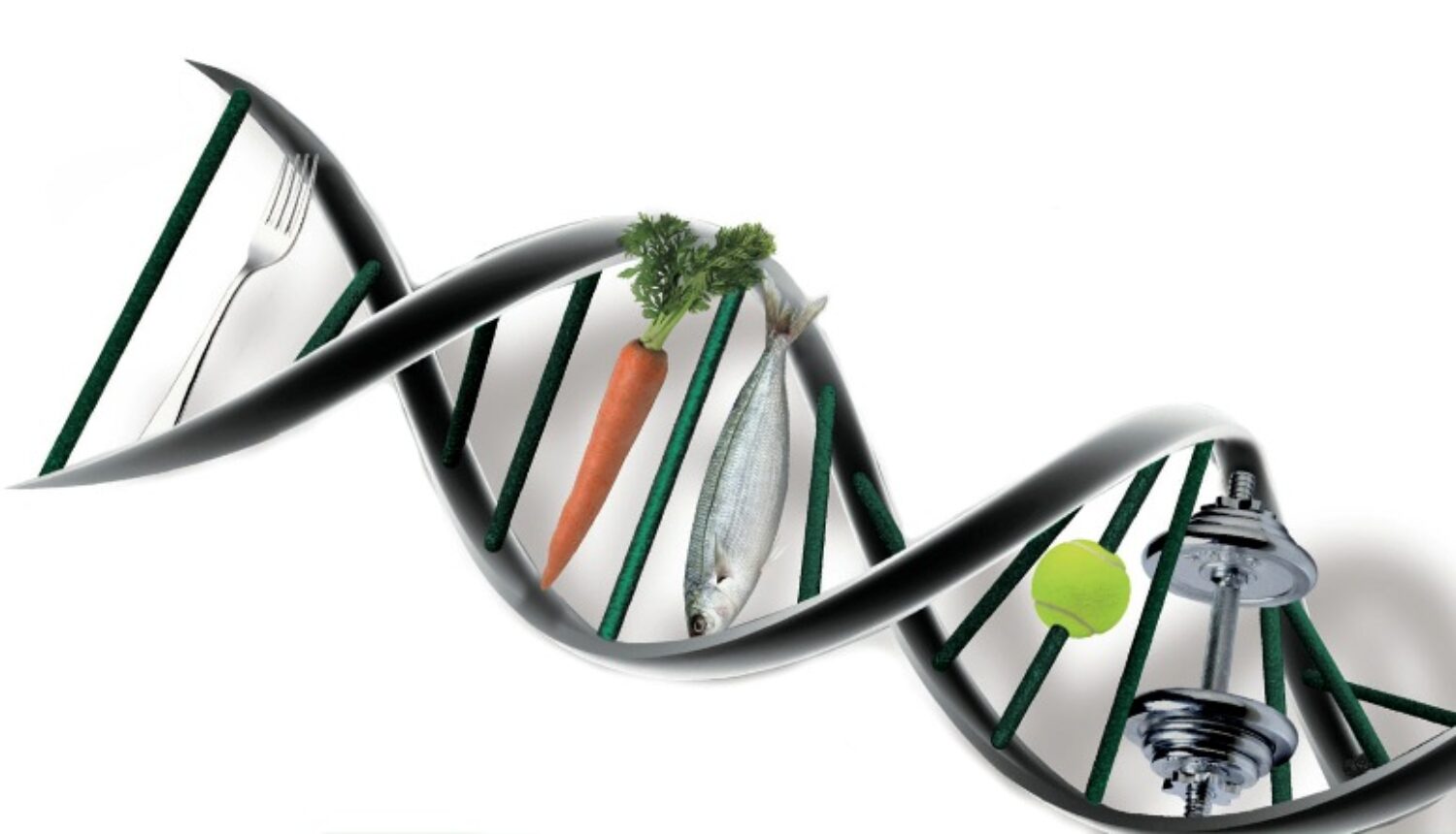 L’importanza di un test genetico per una dieta su misura