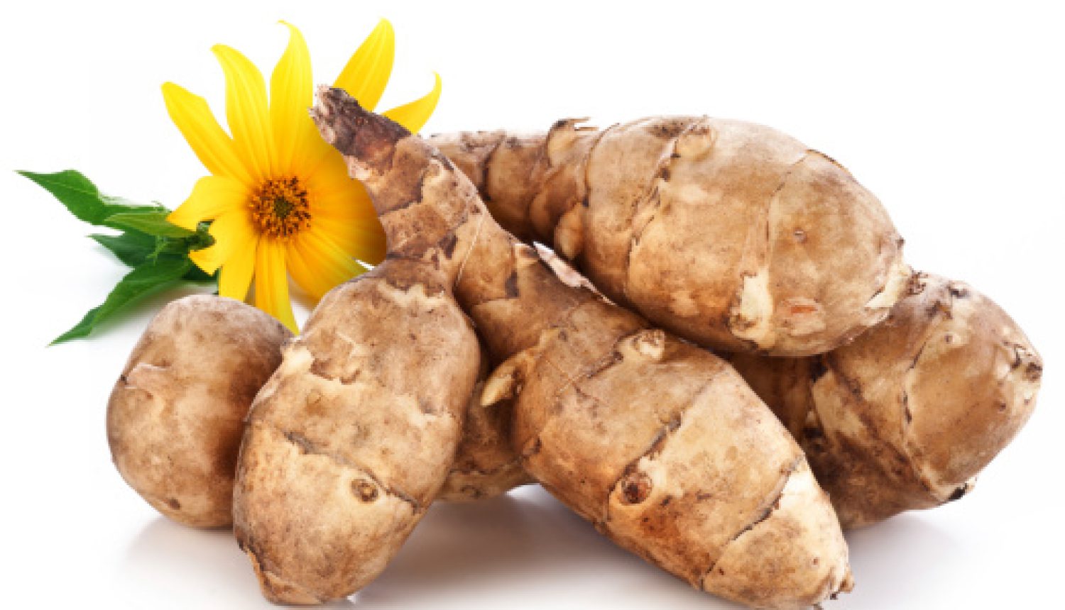 Il topinambur: un alimento utile per i diabetici ma non solo