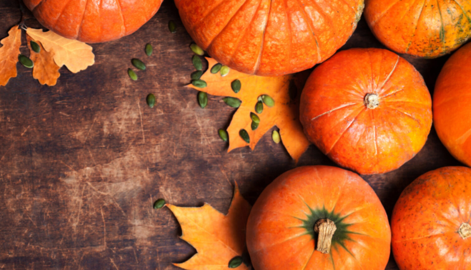 La zucca: ortaggio autunnale dai mille usi